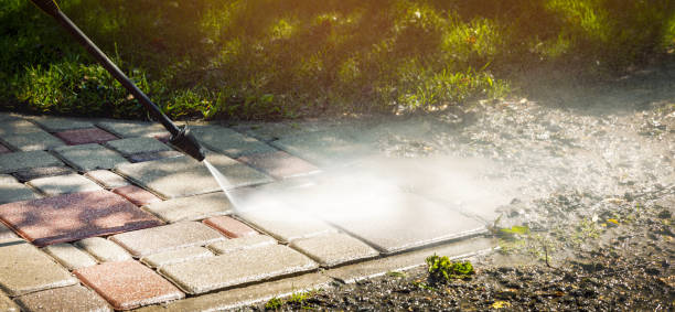Best Driveway Pressure Washing  in Whittier, CA